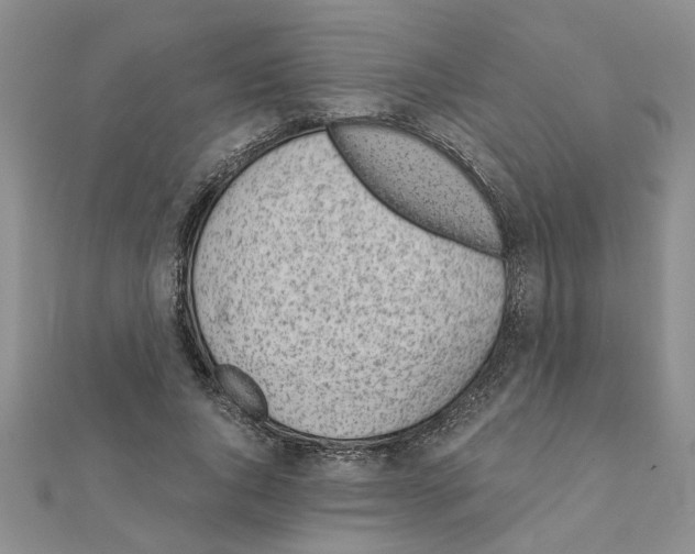 X0000110870736200907301413