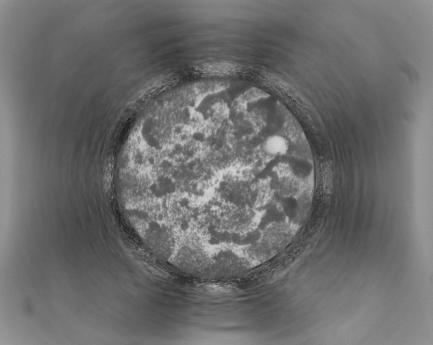 X0000110870737200907301413