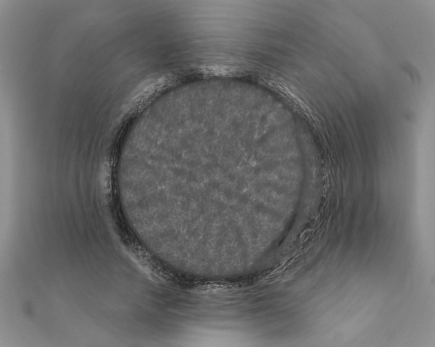 X0000110870738200907301413