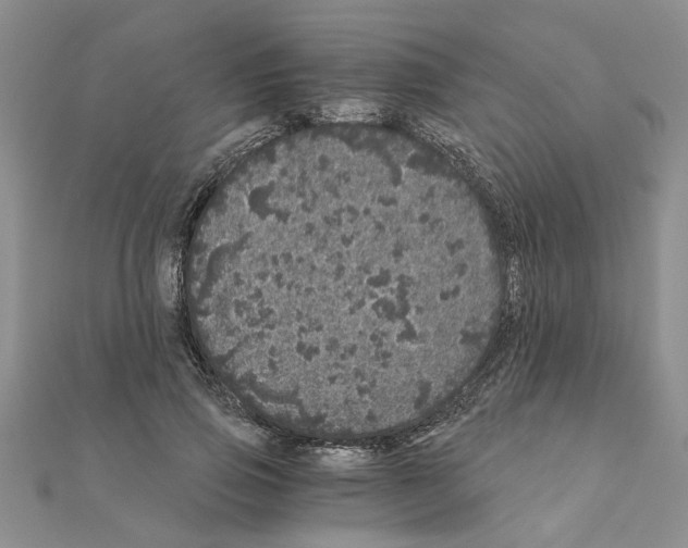 X0000110870741200907301413