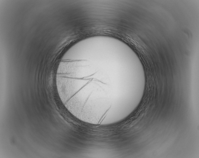 X0000110870744200907301413