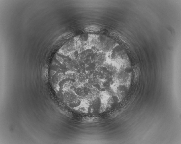 X0000110870745200907301413