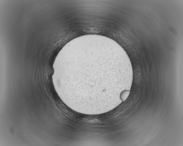 X0000110870747200907301413