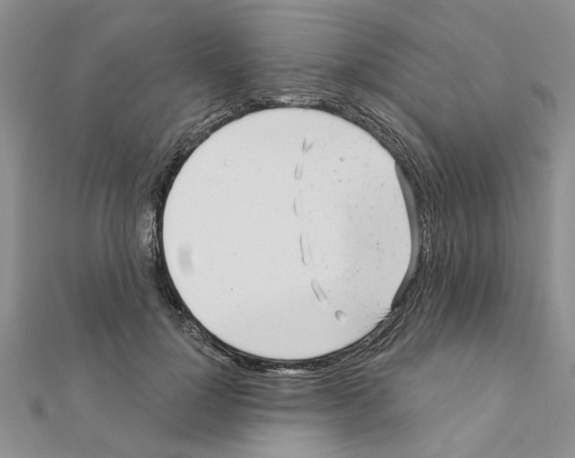 X0000110870748200907301413