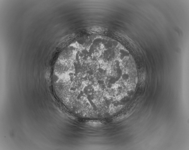 X0000110870749200907301413