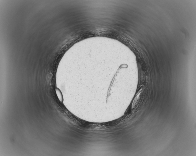 X0000110870750200907301413