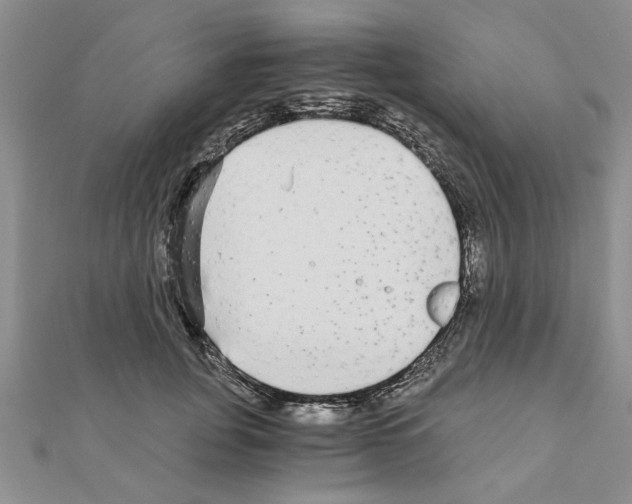 X0000110870751200907301413