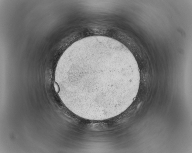 X0000110870752200907301413