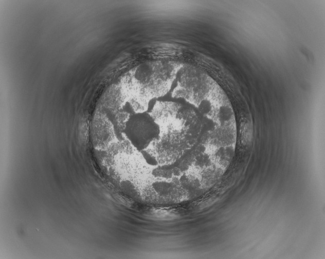 X0000110870753200907301413