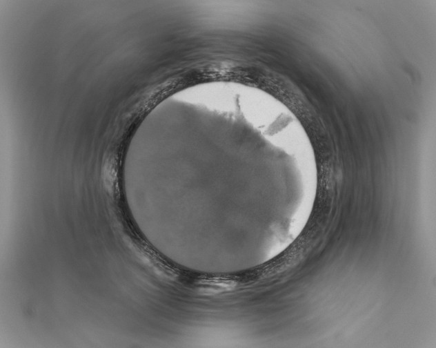 X0000110870754200907301413