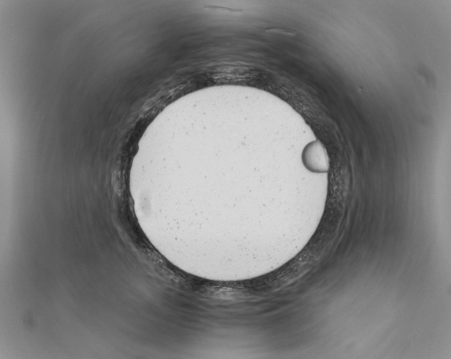 X0000110870755200907301413