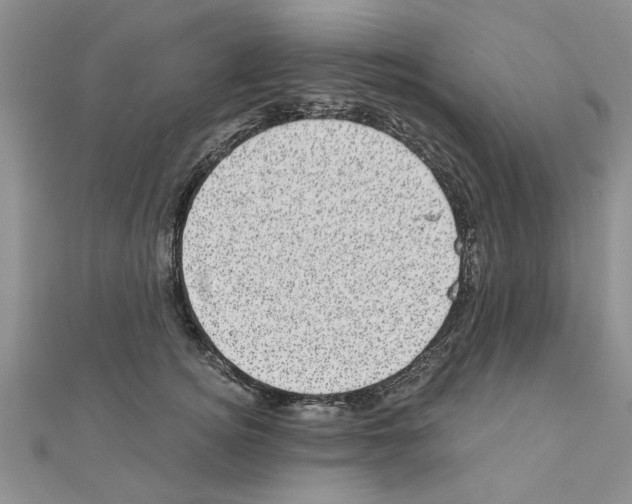 X0000110870756200907301413