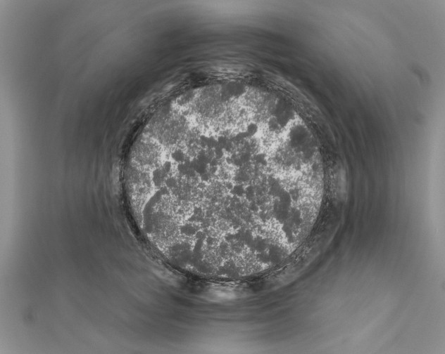 X0000110870757200907301413