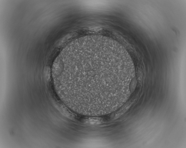 X0000110870758200907301413