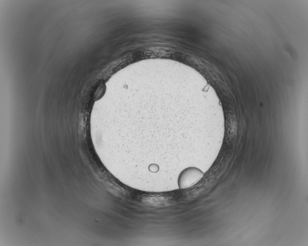 X0000110870759200907301413