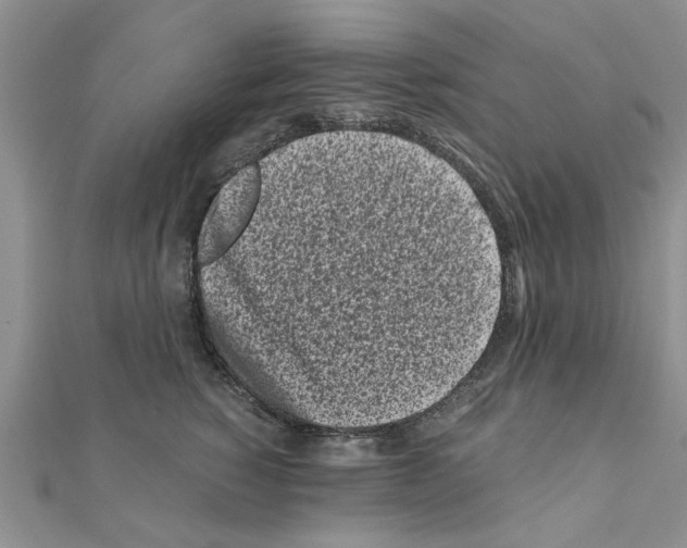 X0000110870760200907301413