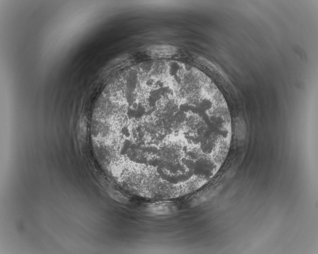 X0000110870761200907301413