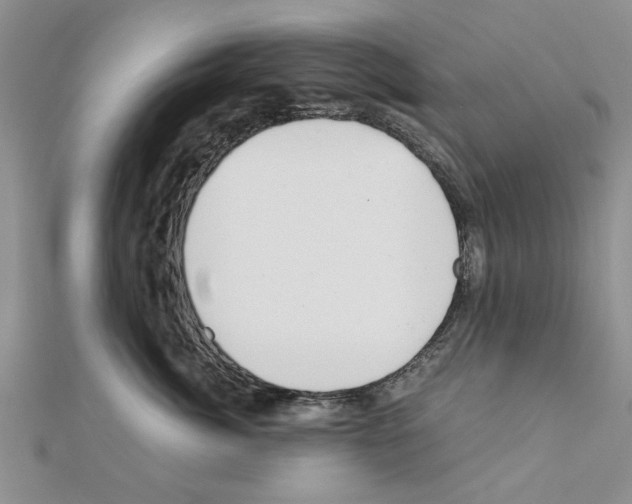 X0000110870764200907301413