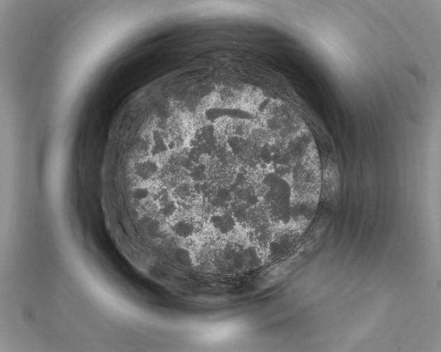 X0000110870765200907301413