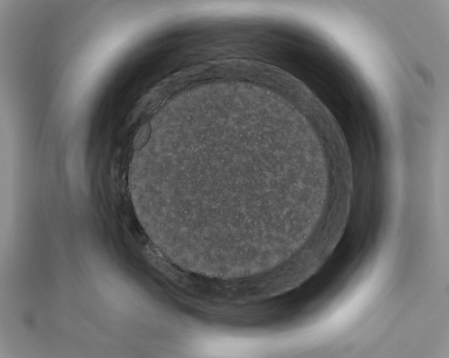 X0000110870767200907301413