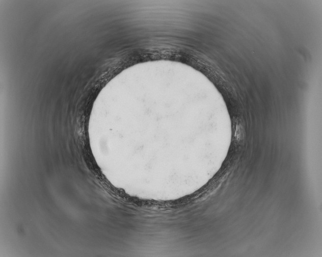 X0000110870771200907301412