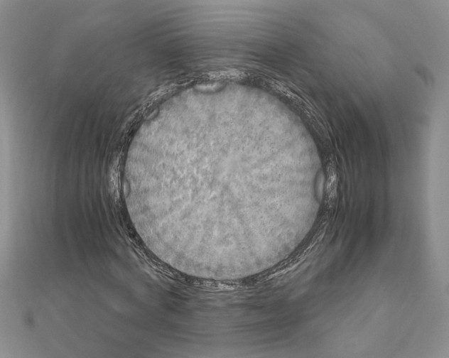 X0000110870772200907301412