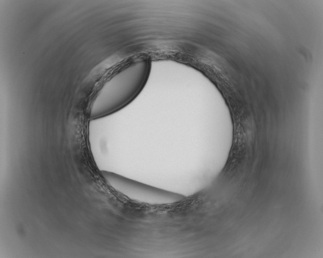 X0000110870773200907301412