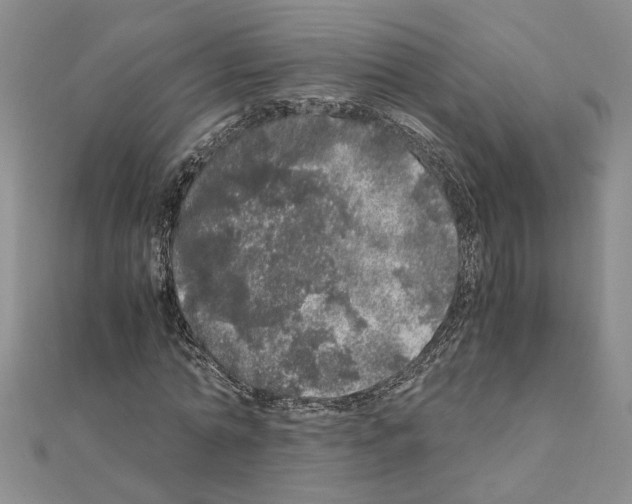 X0000110870774200907301412