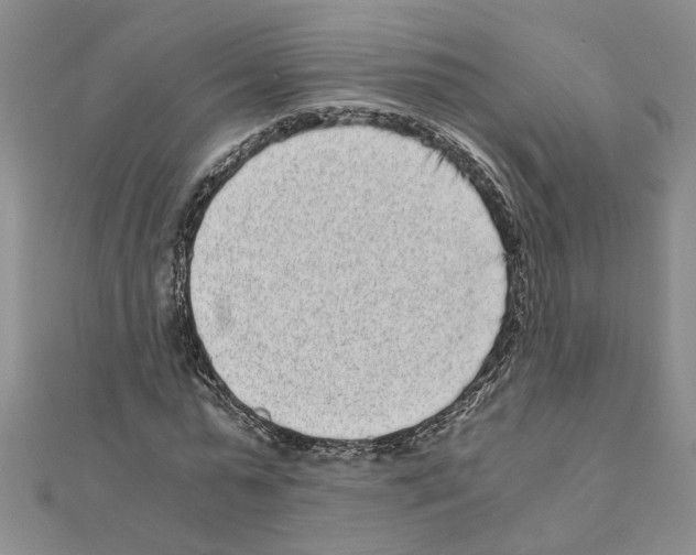 X0000110870775200907301412