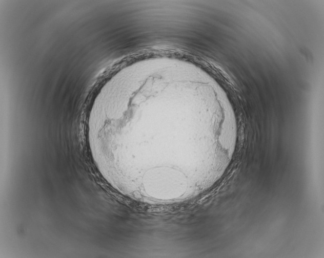 X0000110870776200907301412