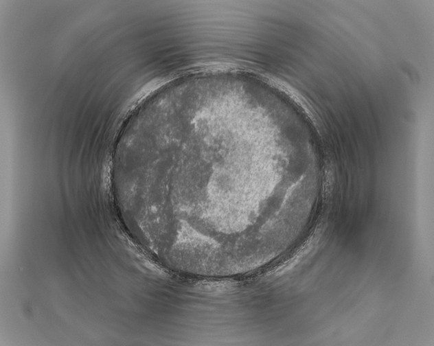 X0000110870778200907301412