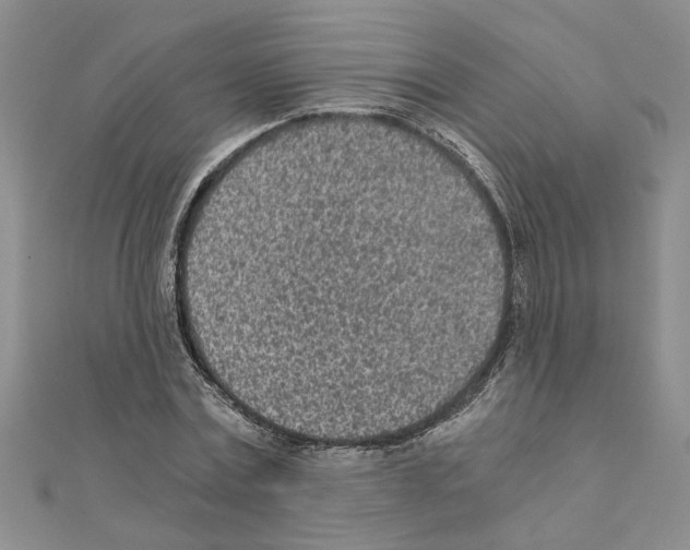 X0000110870779200907301412