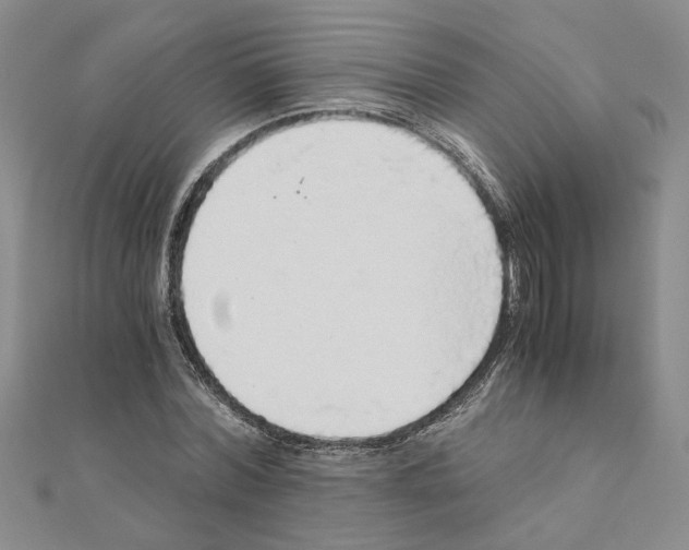 X0000110870780200907301412