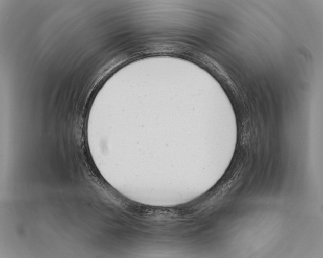 X0000110870786200907301412