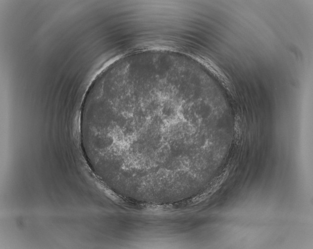 X0000110870790200907301412