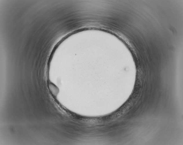 X0000110870791200907301412