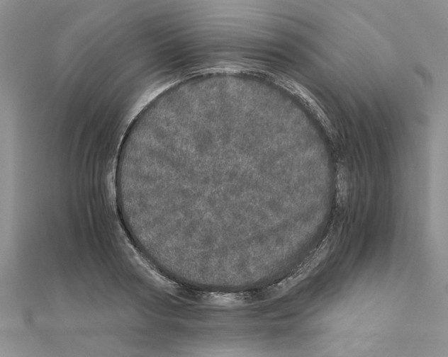 X0000110870794200907301412