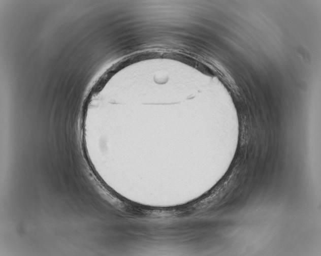 X0000110870796200907301412