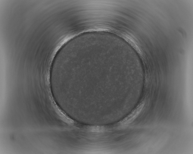 X0000110870797200907301412