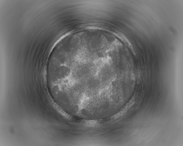 X0000110870798200907301412