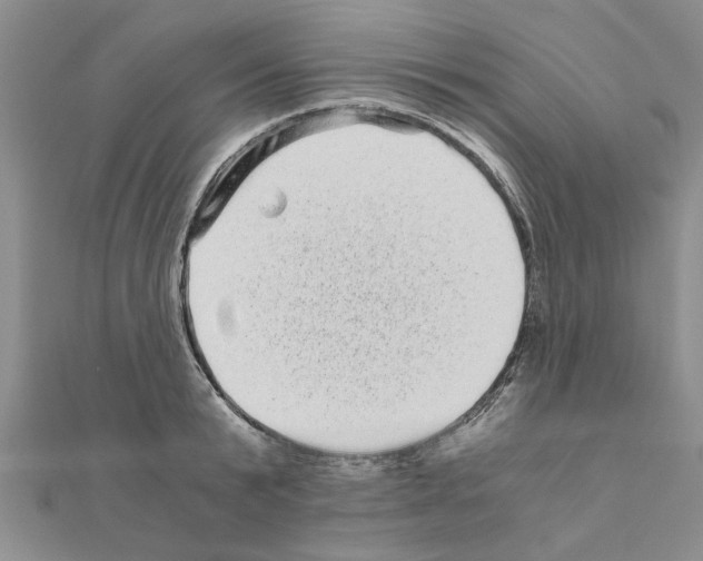 X0000110870799200907301412