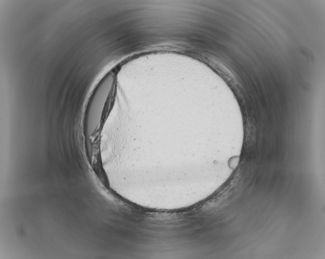 X0000110870800200907301412