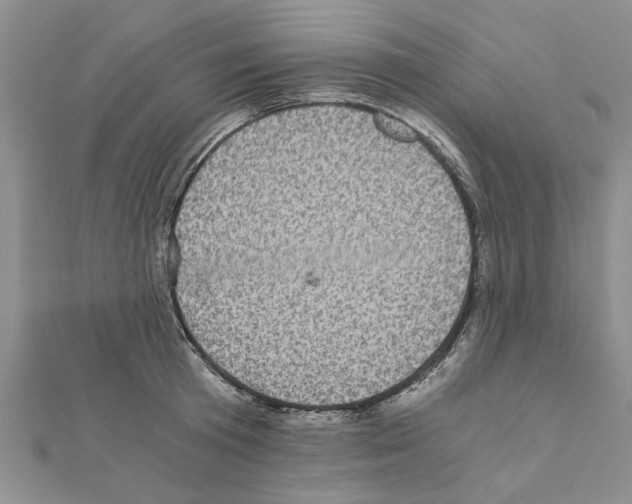 X0000110870801200907301412