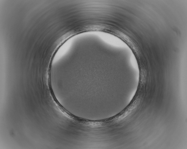 X0000110870802200907301412