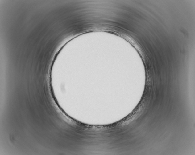 X0000110870803200907301412