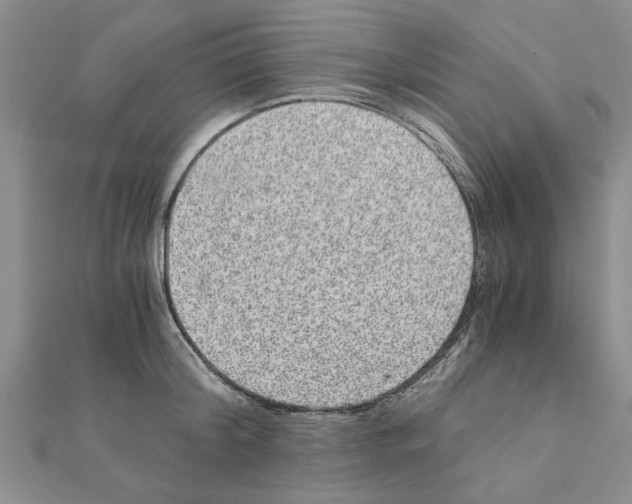 X0000110870804200907301412