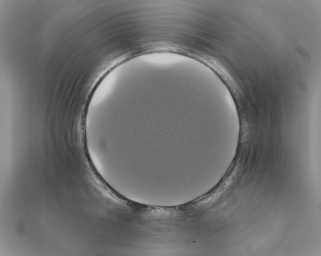 X0000110870806200907301412