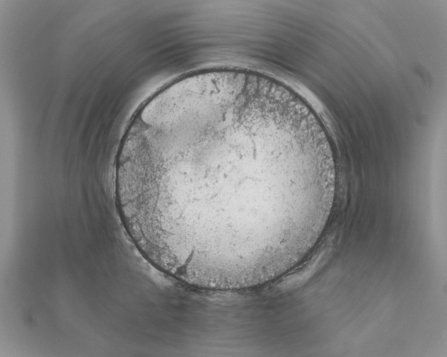 X0000110870807200907301412