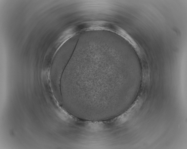 X0000110870809200907301412