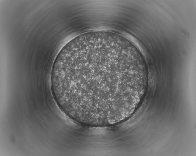 X0000110870810200907301412